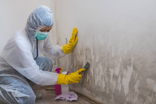 Best Water Damage Restoration  in Poquoson, VA