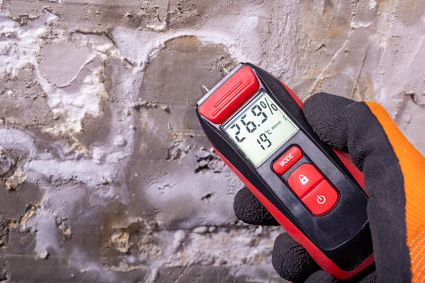 Best Mold Testing  in Poquoson, VA