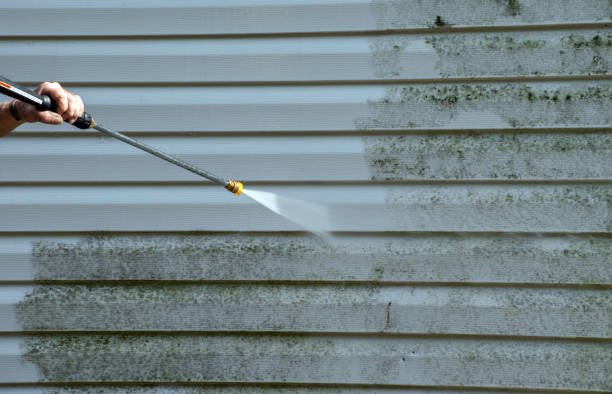 Best Residential Mold Removal  in Poquoson, VA