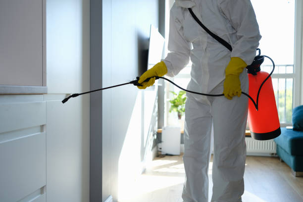 Best Professional Mold Removal  in Poquoson, VA