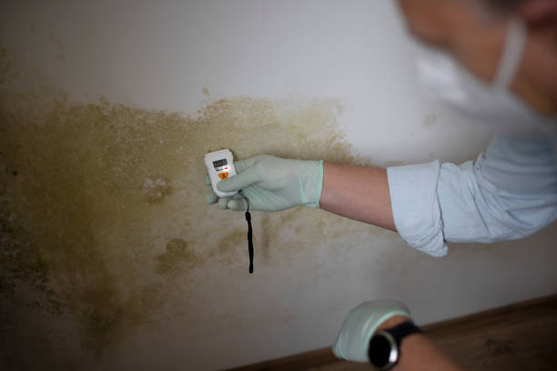 Best Crawl Space Mold Removal  in Poquoson, VA