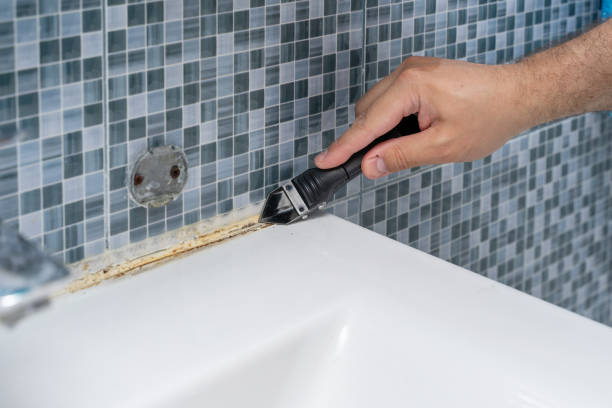 Best Commercial Mold Removal  in Poquoson, VA